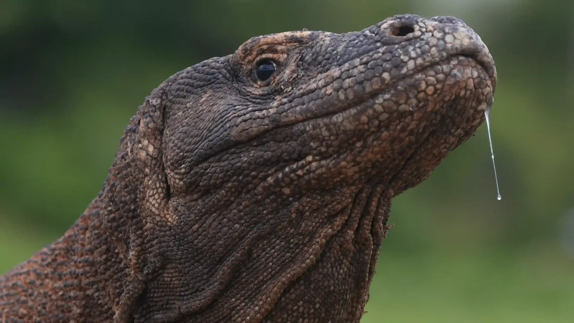 Is 3D2N Enough for a Komodo Cruise? Time on Site, Trade-offs and 2026 Prices
